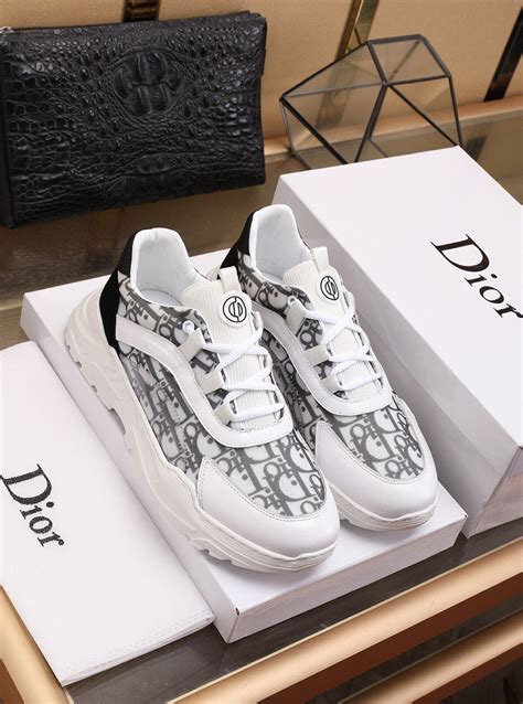 dior sneakers shop online